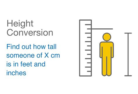 175 cm in feet|175 cm in feet and inches